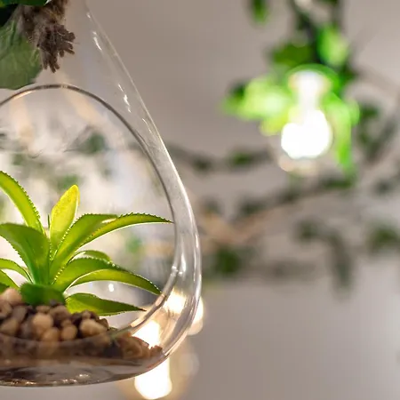 Διαμέρισμα Art & Garden Maison Σιένα