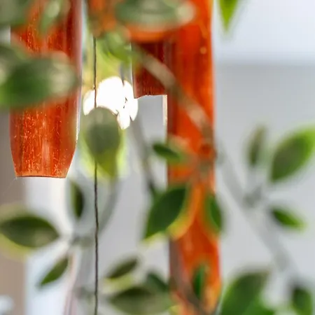 Art & Garden Maison Siena